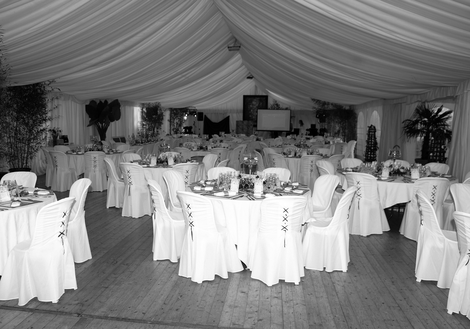 Location de chaises pour anniversaire ou baptême.